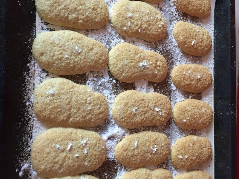 Cliquez pour zoomer ! Biscuits à la cuillère Thermomix par Shanchamois13