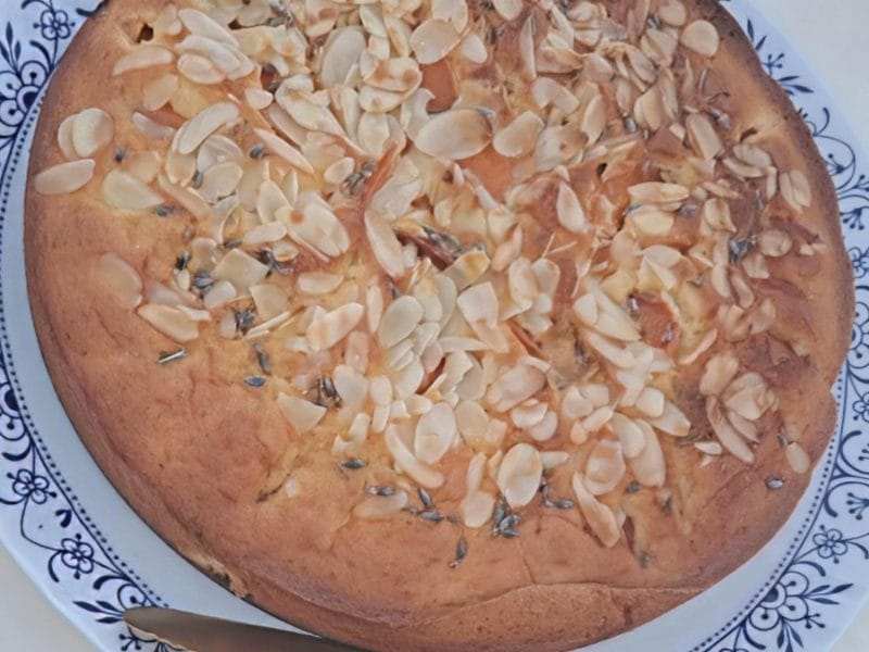 Cliquez pour zoomer ! Gâteau moelleux aux abricots Thermomix par cleminthecountry