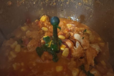 Cliquez pour zoomer ! Fajitas Thermomix par cleminthecountry