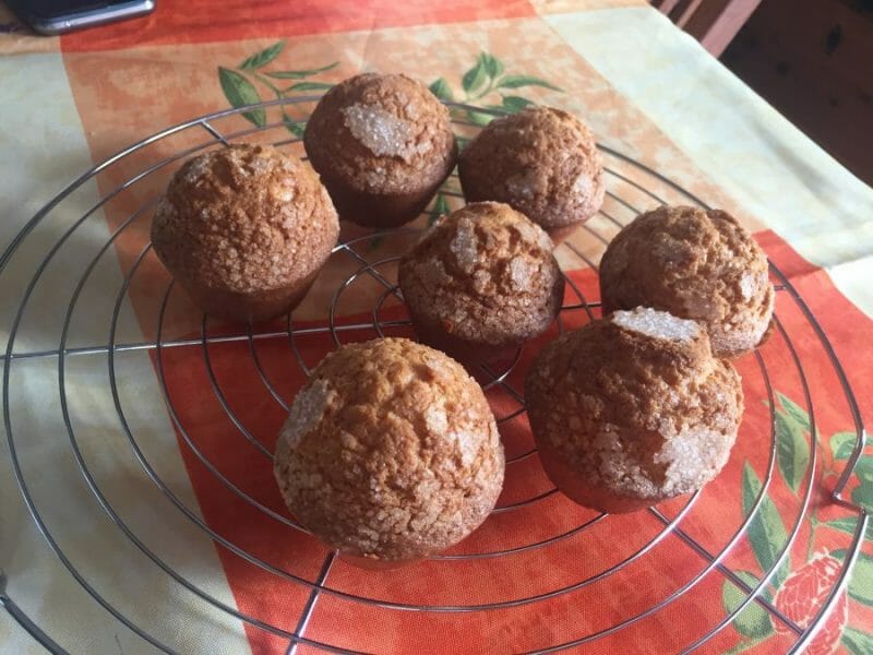 Cliquez pour zoomer ! Magdalenas – Madeleines espagnoles Thermomix par RhaTynou