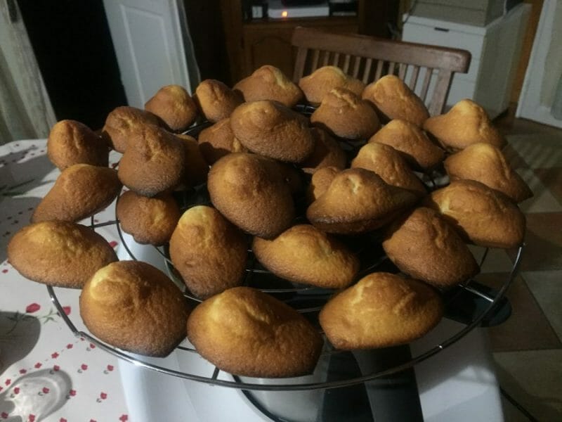 Cliquez pour zoomer ! Madeleines Thermomix par RhaTynou