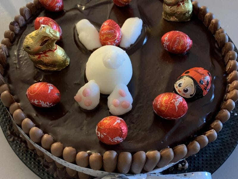 Cliquez pour zoomer ! Gâteau lapin de Pâques Thermomix par Audrey_37