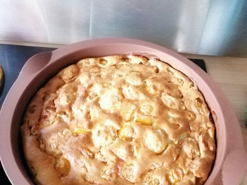 Cliquez pour zoomer ! Clafoutis aux mirabelles Thermomix par Sandrine57220