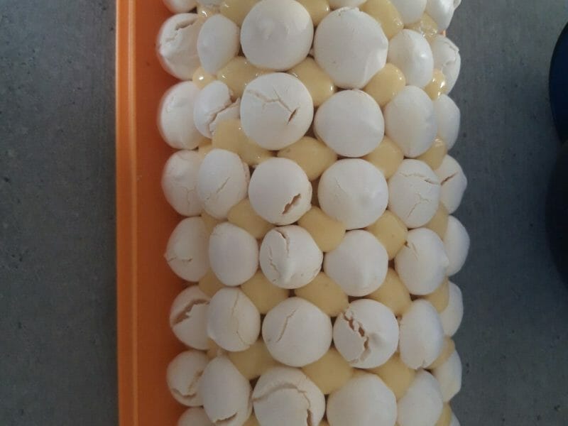 Cliquez pour zoomer ! Bûche au citron meringuée Thermomix par Adeli