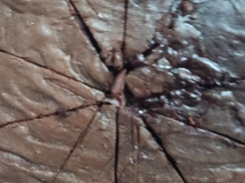 Cliquez pour zoomer ! Kladdkaka – Gâteau au chocolat suédois Thermomix par lisacook123