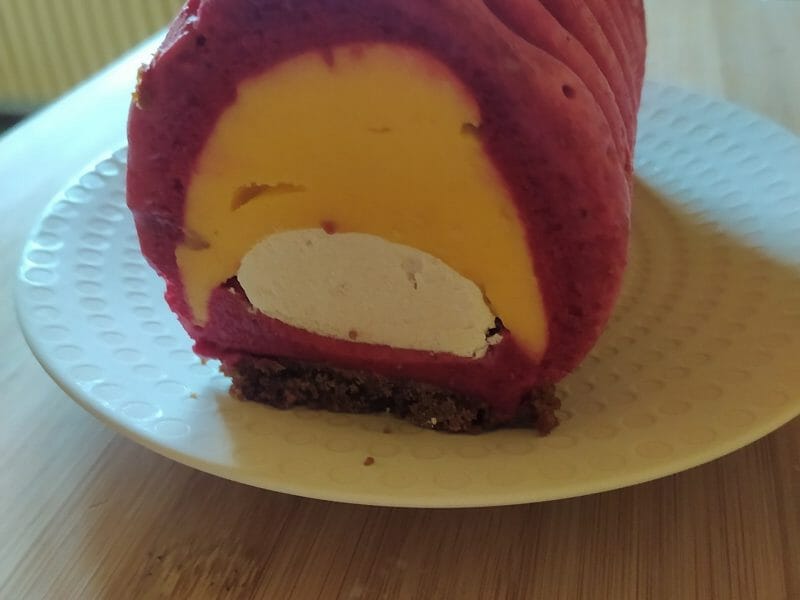 Cliquez pour zoomer ! Bûche glacée mangue et framboise Thermomix par CelineGr067