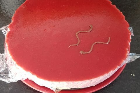 Cliquez pour zoomer ! Bavarois aux fraises au Thermomix