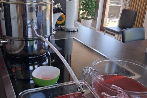 Cliquez pour zoomer ! Gelée de groseilles Thermomix par claudine22450