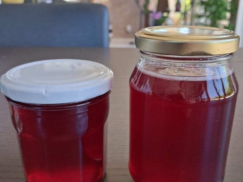 Cliquez pour zoomer ! Gelée de groseilles Thermomix par claudine22450