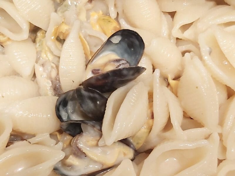 Cliquez pour zoomer ! Moules sauce au roquefort Thermomix par Laetitia_25