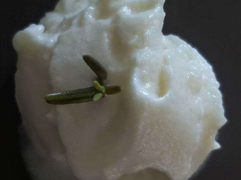 Cliquez pour zoomer ! Sorbet Ananas Thermomix par Laetitia_25