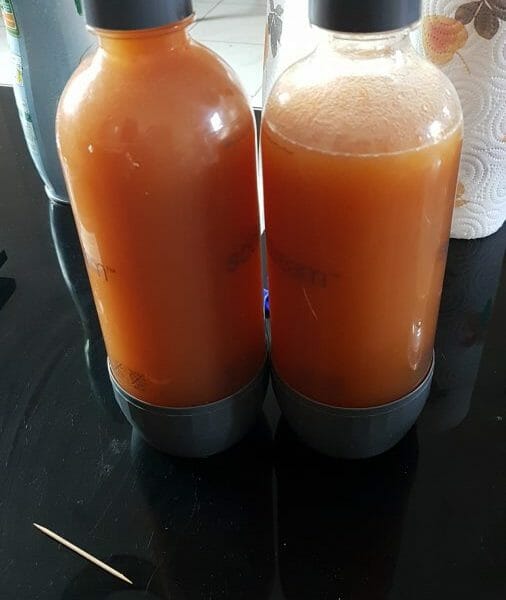 Cliquez pour zoomer ! Jus de pommes Thermomix par Nelly_49