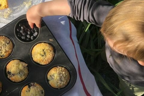 Photos des recettes