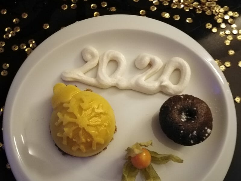 Cliquez pour zoomer ! Bûche glacée mangue et framboise Thermomix par Julie!