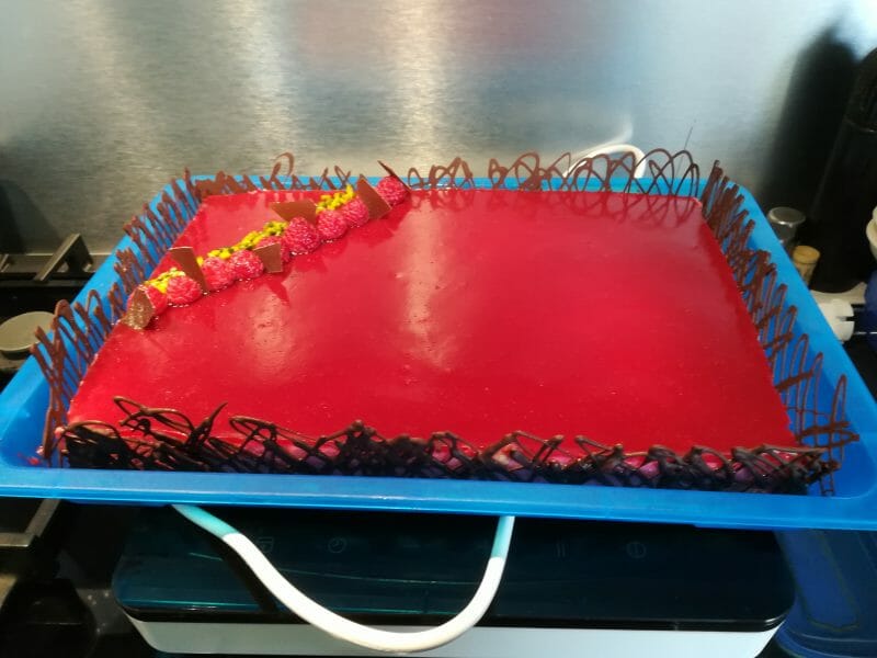 Cliquez pour zoomer ! Bavarois aux framboises Thermomix par floflo