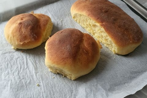 Cliquez pour zoomer ! image-675b24c9-0e08-421d-b3e1-67fd0fee4cb1