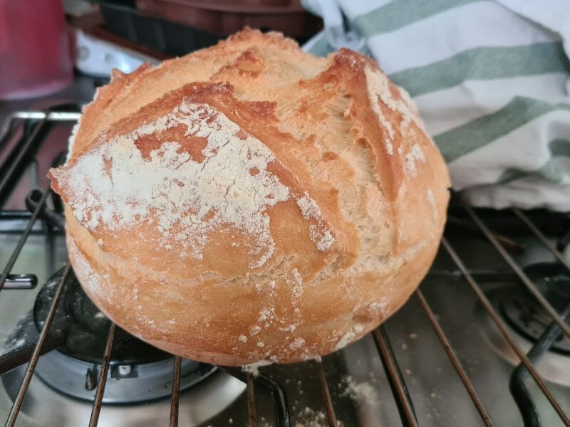 Cliquez pour zoomer ! Pain Cocotte Thermomix par stef50