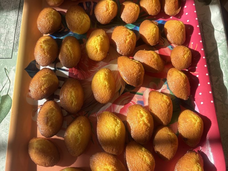 Cliquez pour zoomer ! Madeleines Thermomix par valjulo