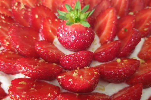 Cliquez pour zoomer ! Tarte aux fraises sans cuisson Thermomix par Louthimlyn