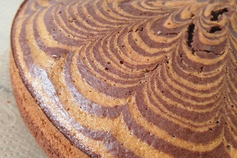 Cliquez pour zoomer ! Gâteau zébré Thermomix par Louthimlyn