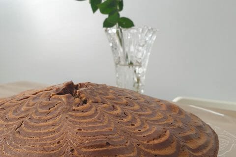Cliquez pour zoomer ! Gâteau zébré Thermomix par Louthimlyn