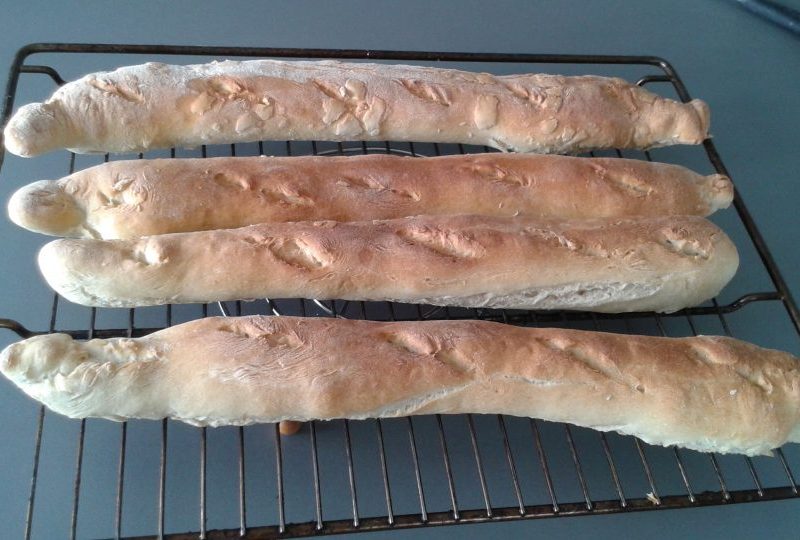 Cliquez pour zoomer ! Baguettes Thermomix par flopunky