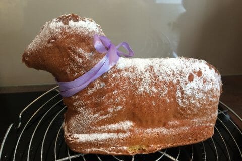 Cliquez pour zoomer ! Lamala (agneau de Pâques) au Thermomix