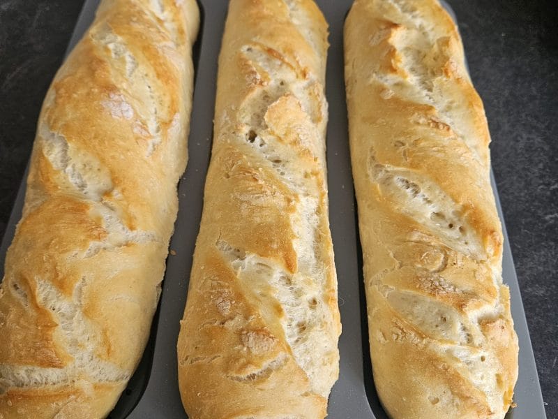 Cliquez pour zoomer ! Baguettes Thermomix par xena1219