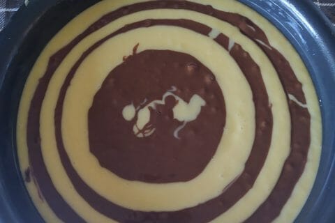 Cliquez pour zoomer ! Marbré au chocolat Thermomix par Titecricket