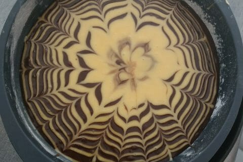 Cliquez pour zoomer ! Gâteau zébré Thermomix par Lu0169