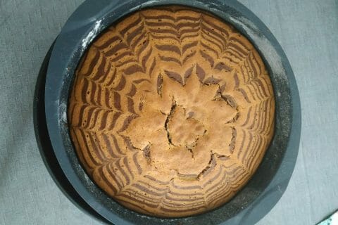 Cliquez pour zoomer ! Gâteau zébré Thermomix par Lu0169