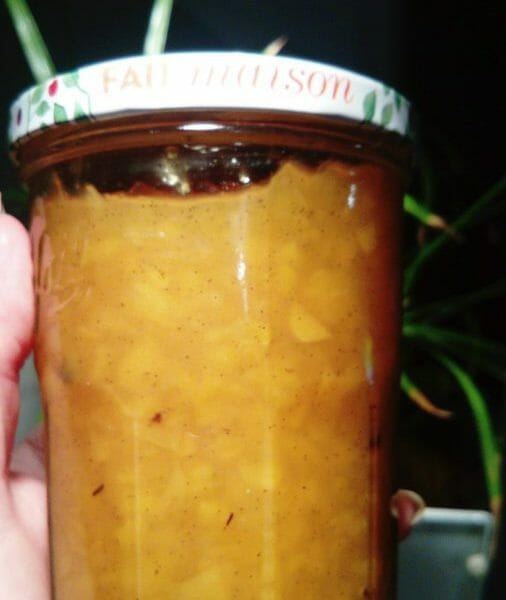 Confiture de mangue au Thermomix - Cookomix