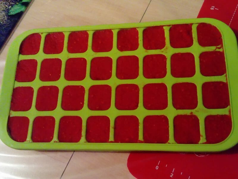 Cliquez pour zoomer ! Concentré de tomates Thermomix par irisbleu