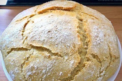 Photos des recettes