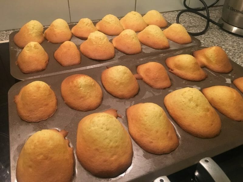 Cliquez pour zoomer ! Madeleines Thermomix par Christine