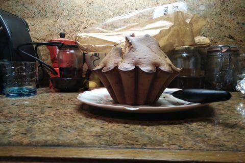 Cliquez pour zoomer ! Brioche express Thermomix par Loutteuh