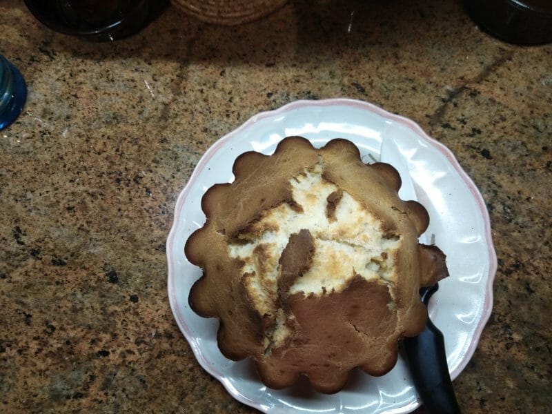 Cliquez pour zoomer ! Brioche express Thermomix par Loutteuh