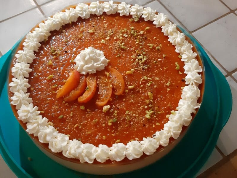 Cliquez pour zoomer ! Bavarois à l’abricot Thermomix par lolo07340