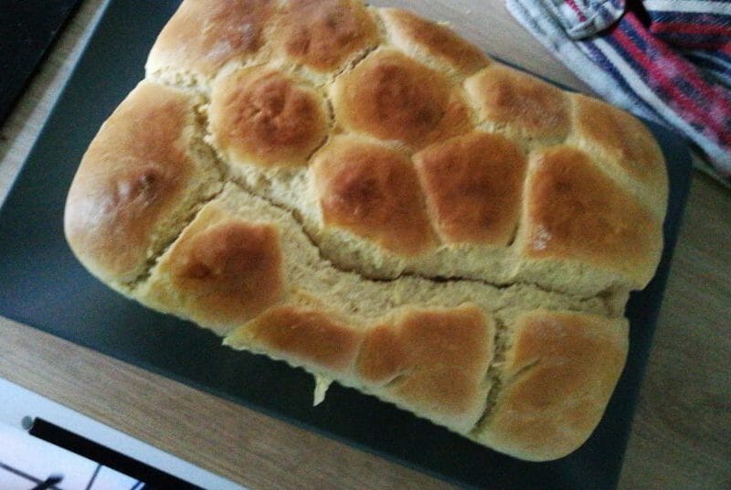 Cliquez pour zoomer ! Brioche Buchty Thermomix par Juju33160