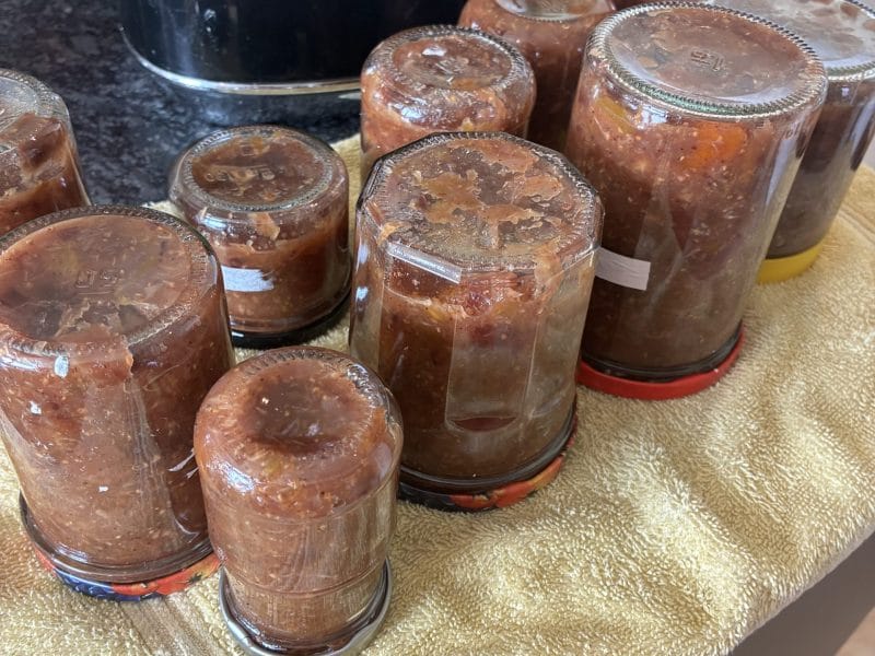 Cliquez pour zoomer ! Chutney d’oignons rouges et figues Thermomix par laurence_chris