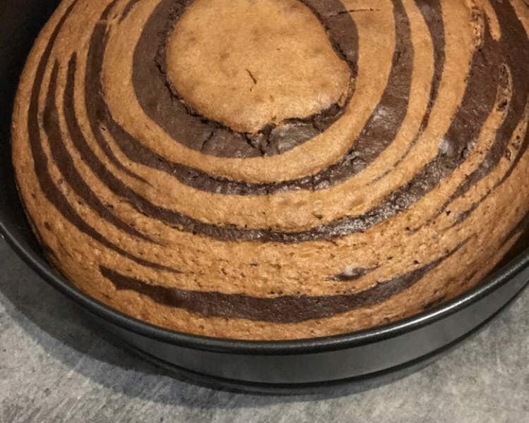 Cliquez pour zoomer ! Gâteau zébré Thermomix par babymarou