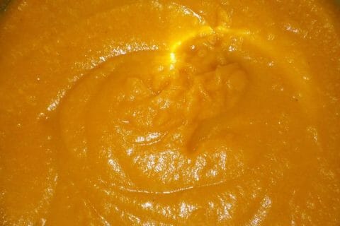 Puree De Butternut Au Thermomix Cookomix Puree De Butternut Au Thermomix Cookomix