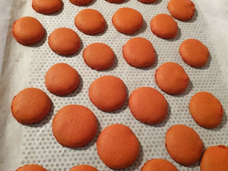 Cliquez pour zoomer ! Macarons Thermomix par adsp
