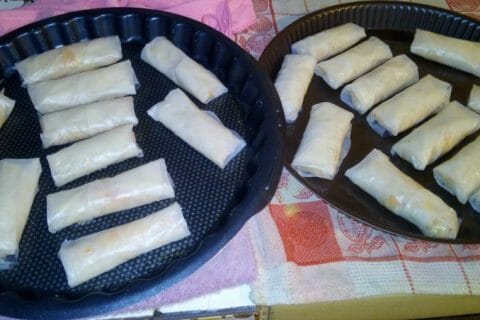 Cliquez pour zoomer ! Nems au poulet Thermomix par Lilouvw