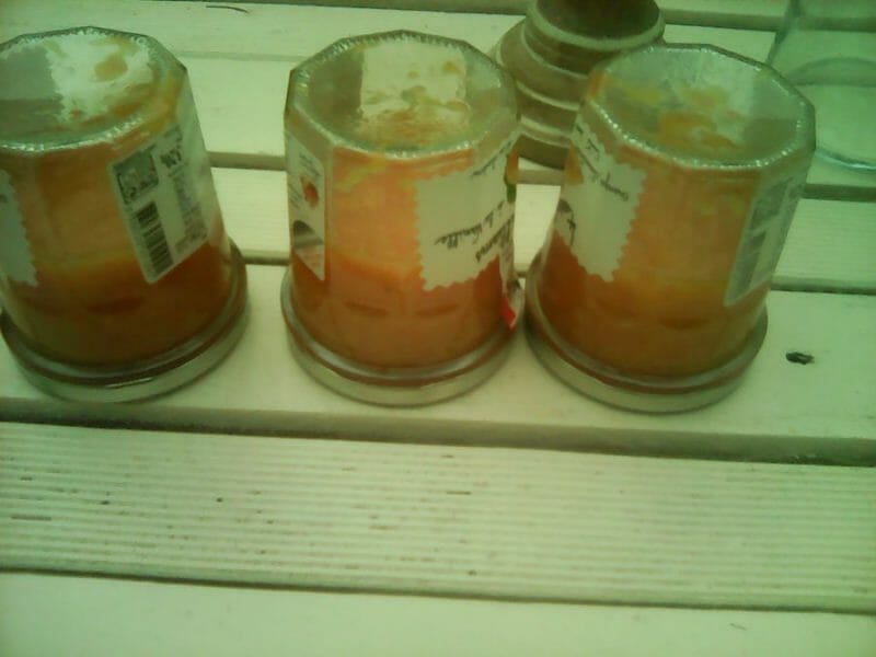 Cliquez pour zoomer ! Confiture aux 3 agrumes Thermomix par Lydietiti666