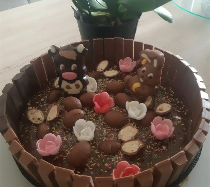 Cliquez pour zoomer ! La mare aux cochons Thermomix par Kryssou