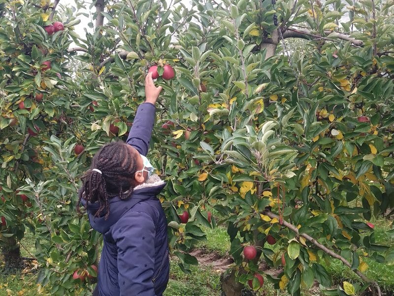 Cliquez pour zoomer ! Jus de pommes Thermomix par Najahlo