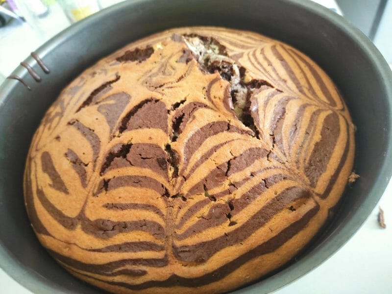 Cliquez pour zoomer ! Gâteau zébré Thermomix par Najahlo