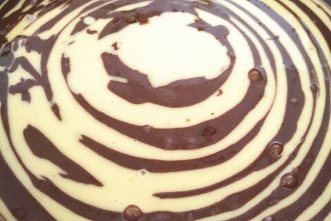 Cliquez pour zoomer ! Gâteau zébré Thermomix par Najahlo