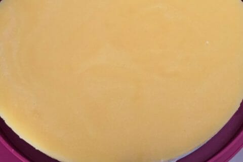 Cliquez pour zoomer ! Panna cotta citron sur sablé spéculoos et miroir de mangue Thermomix par Anneso60